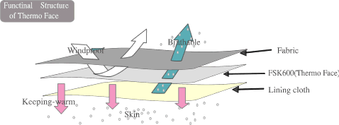 fanctiuonal structure of thermo face