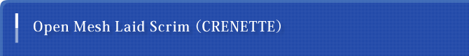 Bonded Reinforcement Net (CRENETTE)